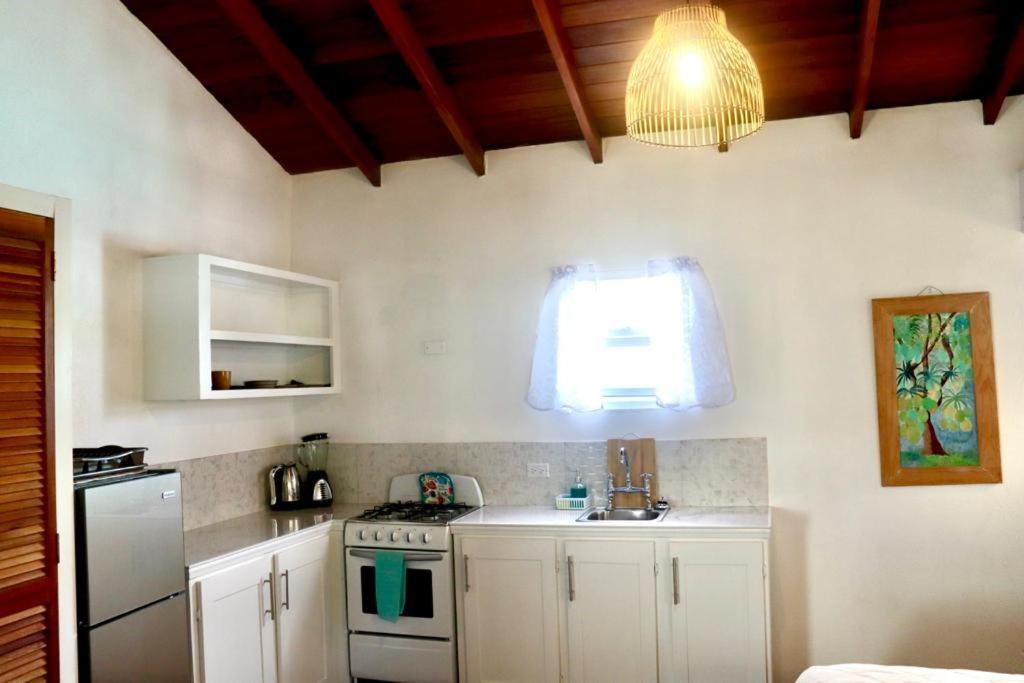 Blr Beach Villas Christ Church Extérieur photo
